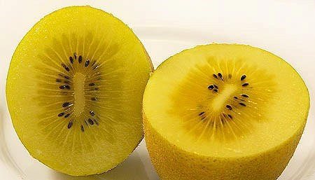 تصویر 2 از قیمت خرید کیوی طلایی + فروش ویژه